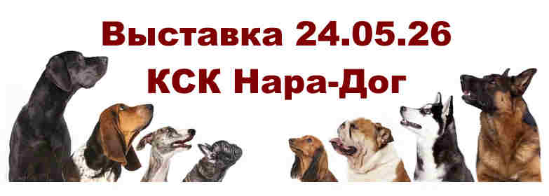 Национальная выставка Наро-Фоминск